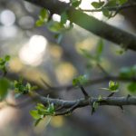 乐虎国际官方网app:畅享在线娱乐的全新体验 1r44tl