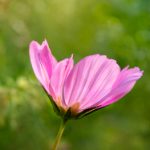 乐虎体育:探索全新体育体验与赛事直播平台 rkzp15b