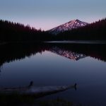 乐通LT118手机官网:探索全新在线娱乐体验的最佳选择 vwcj68u