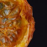 二十一点游戏网址推荐:轻松找到最优平台攻略 waue376z